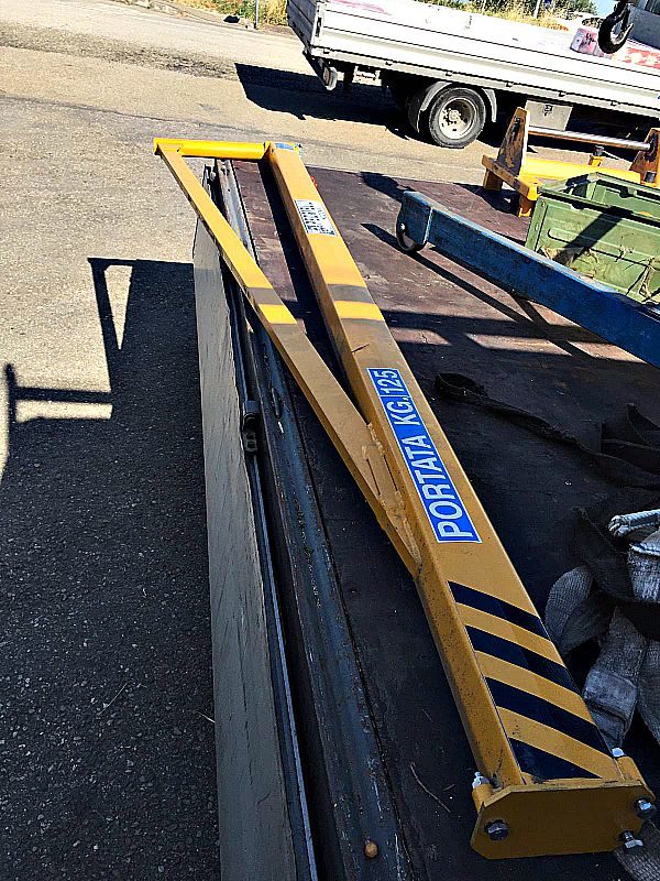 Gru_a_bandiera_3 mt_pedrielli_portata_125 kg_1_Attrezzatura_officina_meccanica
