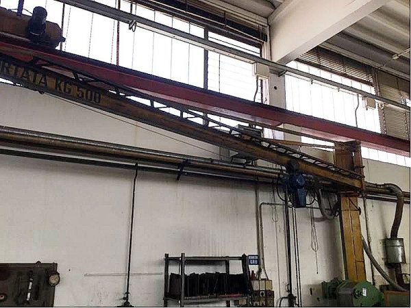 Bandiera_Demag_con_paranco_Demag_500_kg