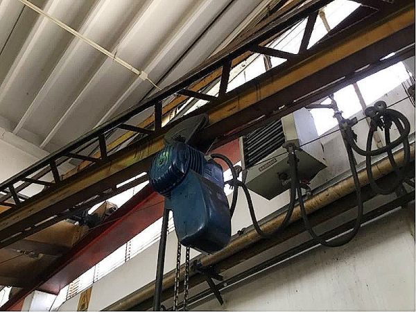 Bandiera_Demag_con_paranco_Demag_500_kg