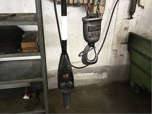 Bandiera_Demag_con_paranco_Demag_500_kg