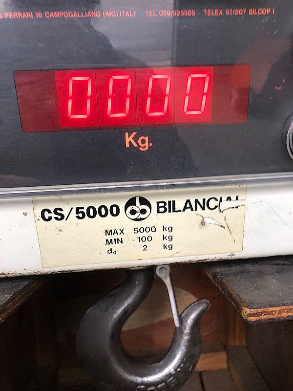 Gancio_di_pesatura_per_carroponte_marca_Bilanciai